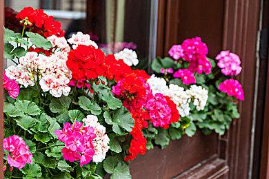 在这款令人费解的现代冒险谜题游戏《距离8点还有3分钟》中欺骗死神，避免死亡